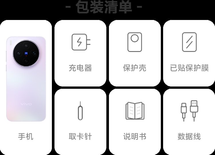 vivo x300s