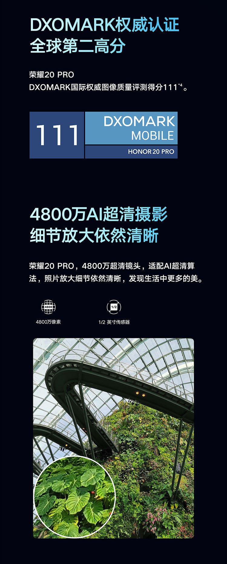 honor 20