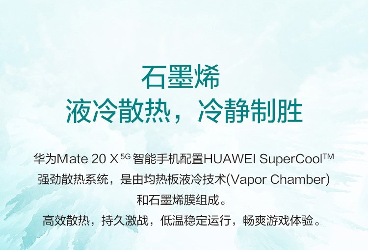 mate 20 x 5g