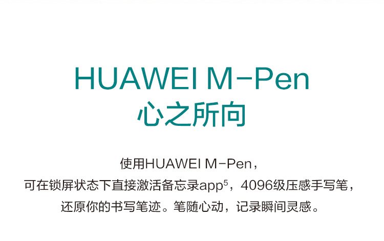 mate 20 x 5g