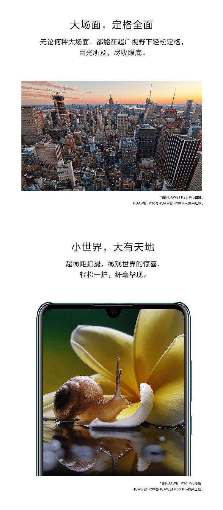p30 pro