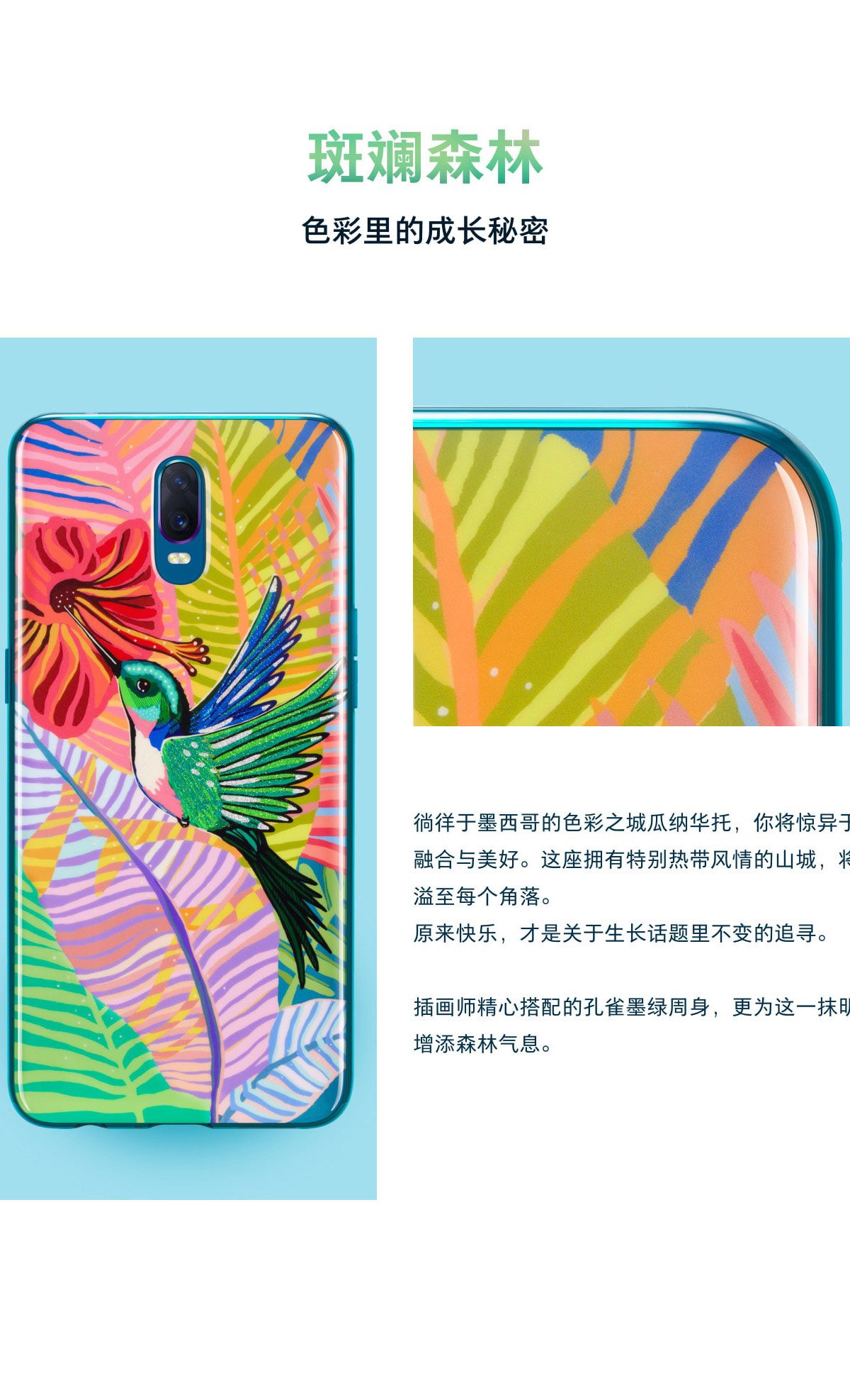 r17 case