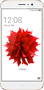 Qiku N4S 5.5-Inch Cell Phone