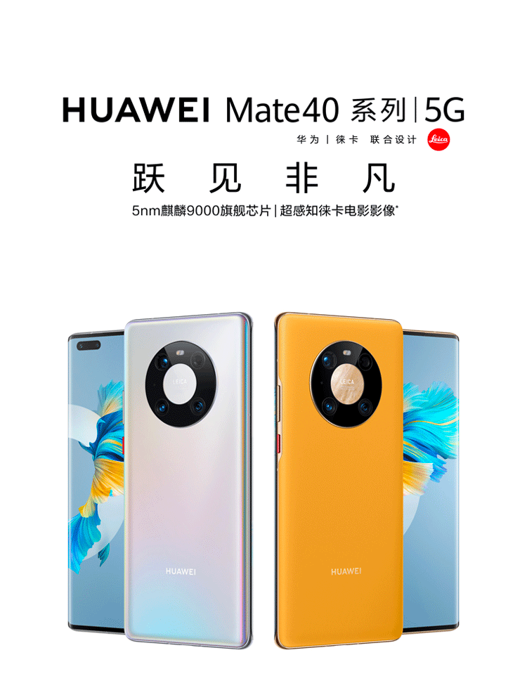 mate 40