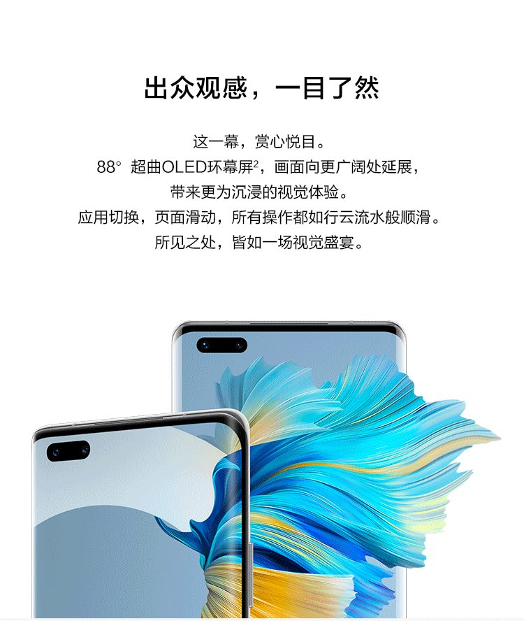 mate 40