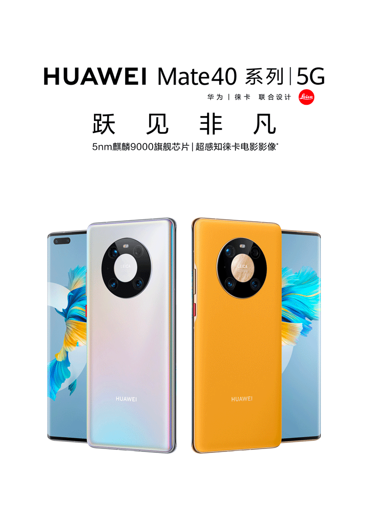 mate 40