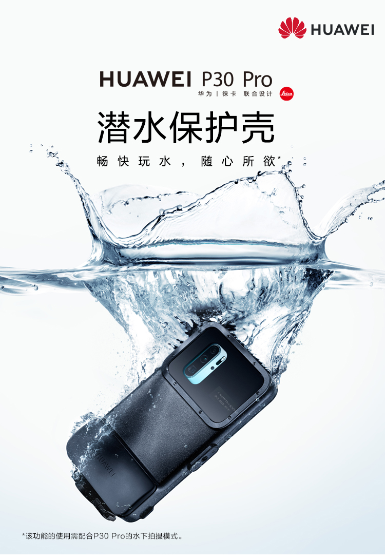 p30 case