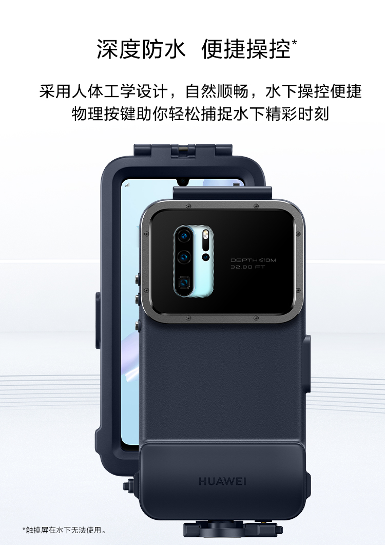 p30 case