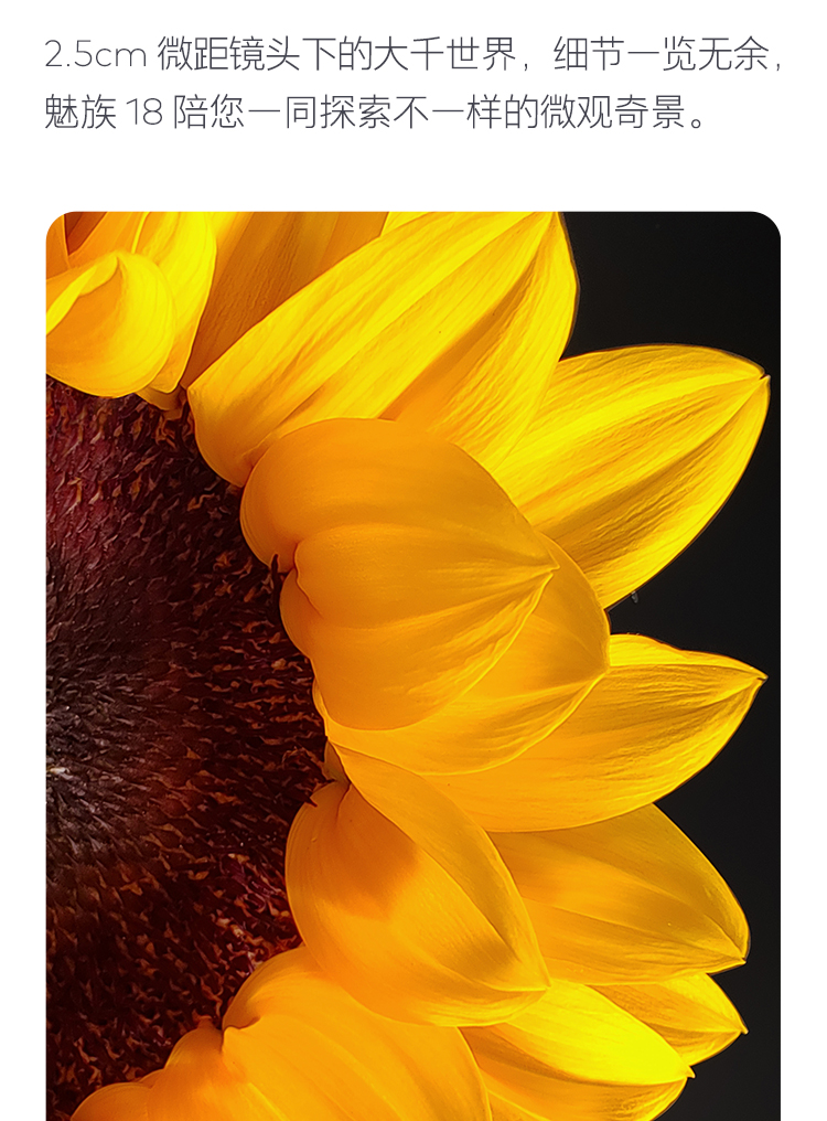 meizu 18