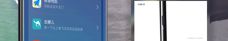 vivo nex