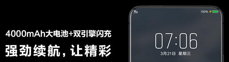 vivo nex